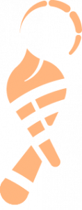Logo Upupa Estudio